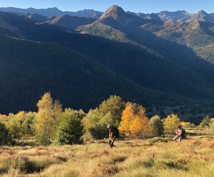 Perdrix grise de montagne : la chasse est maintenue !