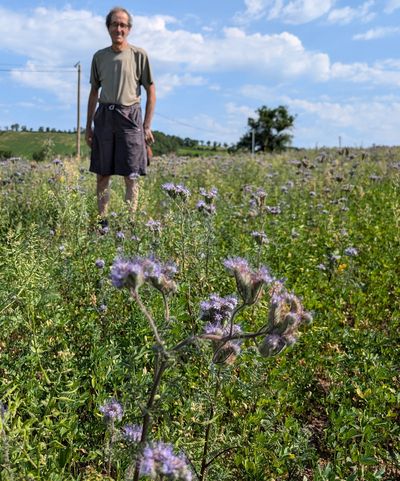 Denis Pommié, l’agriculteur qui aime les butineurs