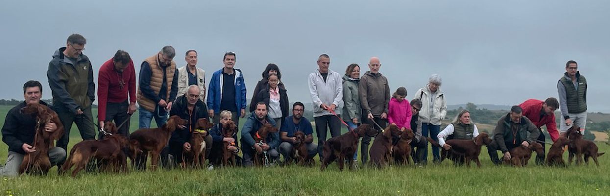 Des chiens en concours en Aveyron