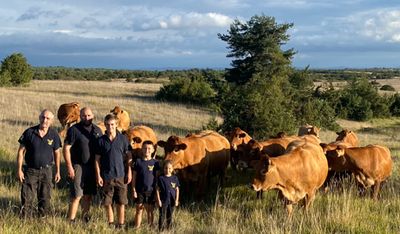 Des vaches pour sauver les orchidées