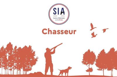 SIA. Denier délais le 31 décembre