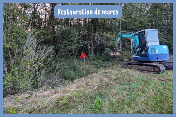 Trame bleue : l'heure de la restauration